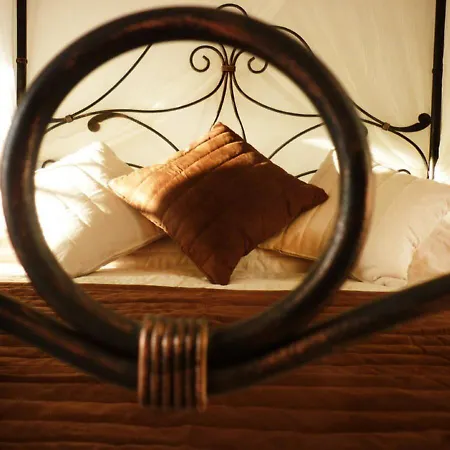 Aux Bords Du Temps Zonza