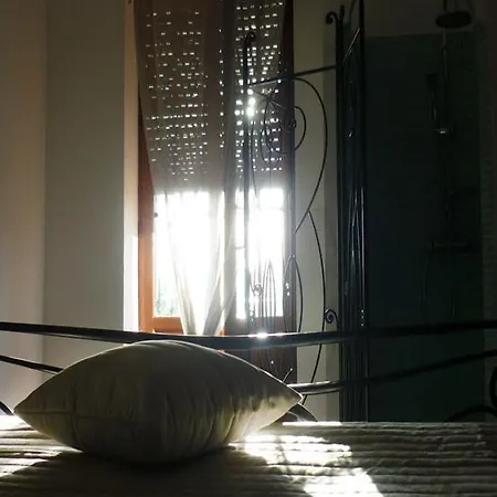 Aux Bords Du Temps Zonza