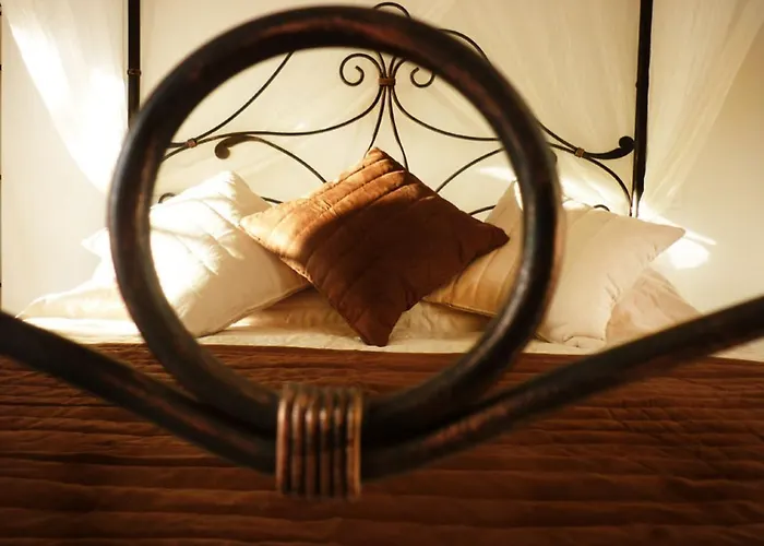 Aux Bords Du Temps זונזה