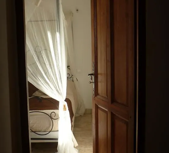 Aux Bords Du Temps זונזה