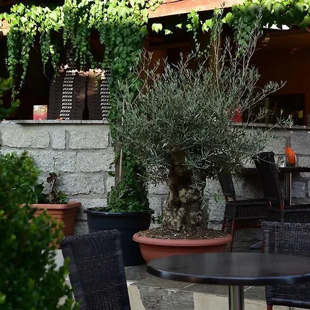 Aux Bords Du Temps 3*