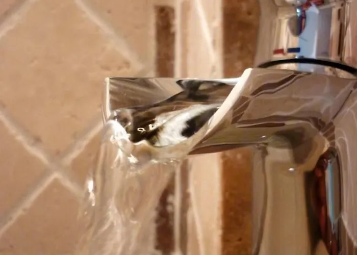 Bed & Breakfast Aux Bords Du Temps Zonza