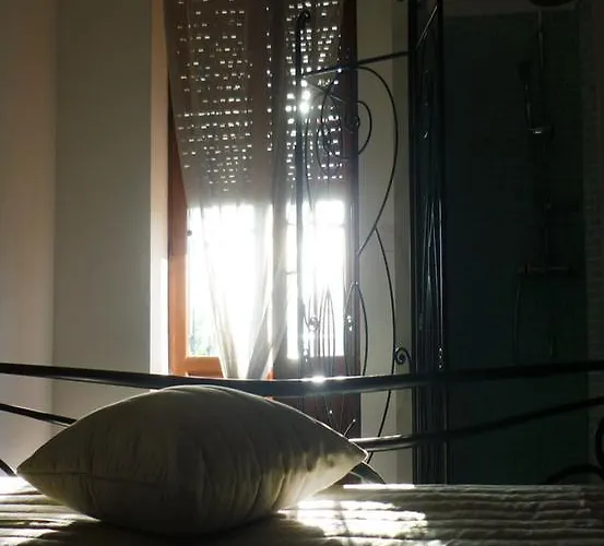 Aux Bords Du Temps Zonza